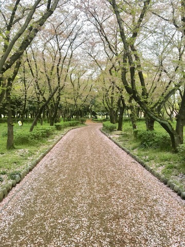 施設写真67