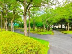 桜ケ丘中央公園