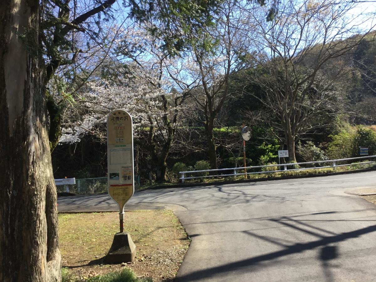 河鹿の沢 バス停