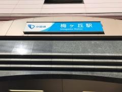 梅ケ丘駅