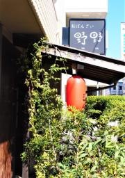 野野