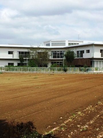 葵の園・緑区