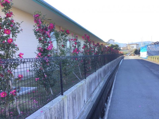 慈恩 施設外観