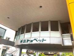 千葉トヨペット土気店