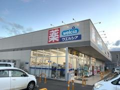 ウエルシア　新潟東中野山店