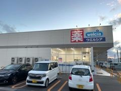 ウエルシア　新潟東中野山店