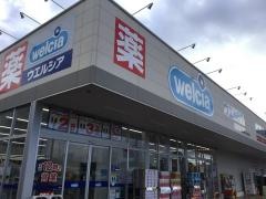 ウエルシア　新潟東中野山店