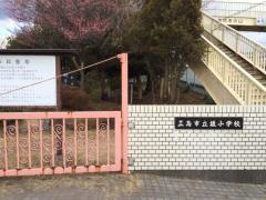 坂小学校