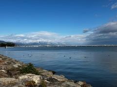 大津湖岸なぎさ公園