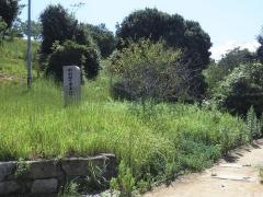 町制40周年記念公園