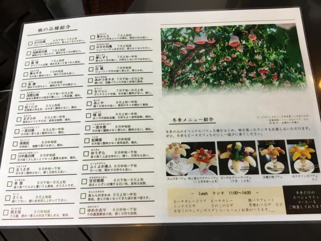 商品(サンプル) 画像12