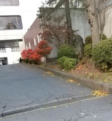 千葉学園高等学校