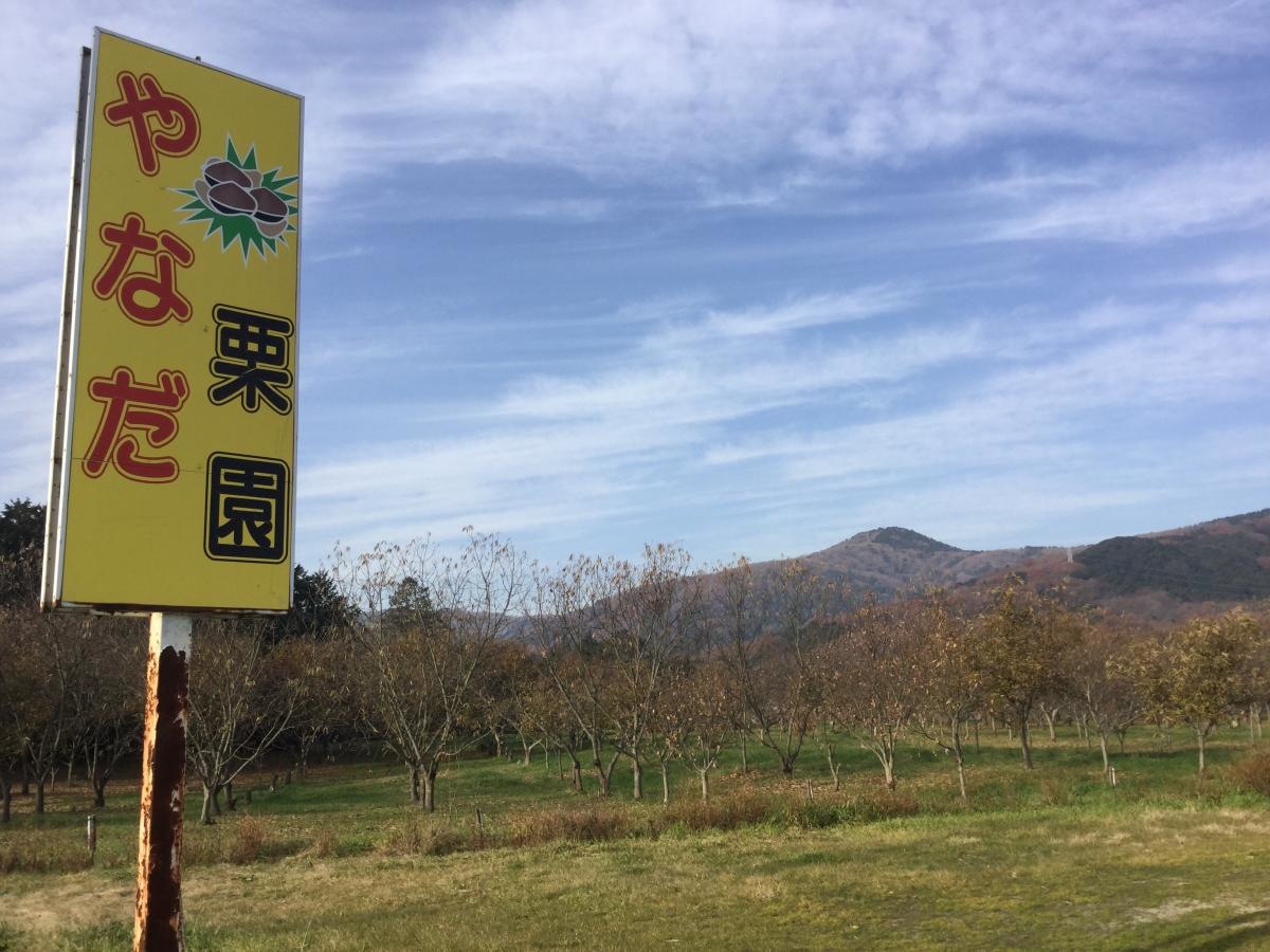 アクセス