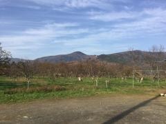 梁田栗園