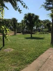 竹園公園