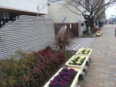兵庫大開小学校