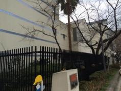 兵庫大開小学校