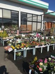 コメリハード＆グリーン　打田店