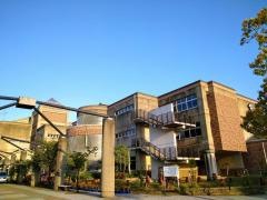 さくら小学校
