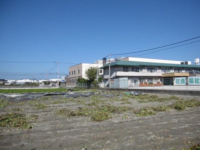 青香園