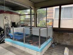 こぐま保育園