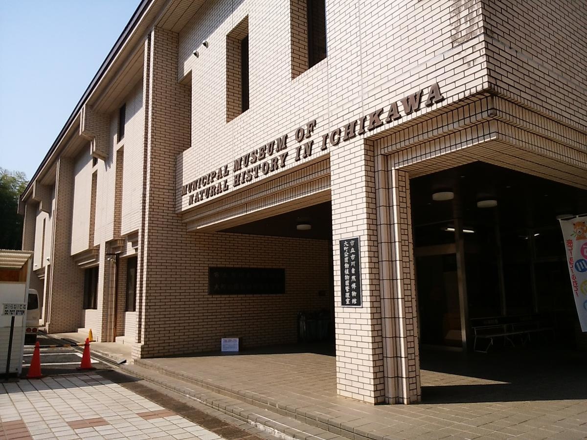 市立市川自然博物館