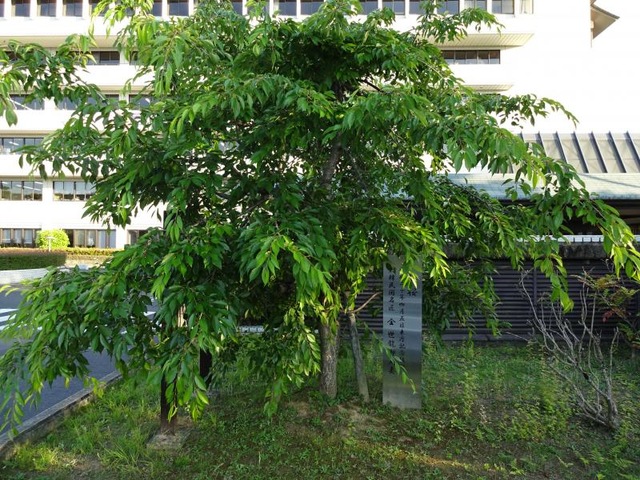 施設写真32