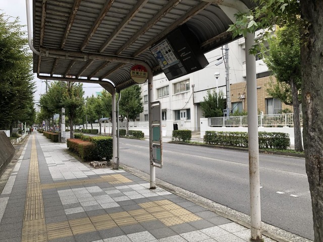 投稿写真6