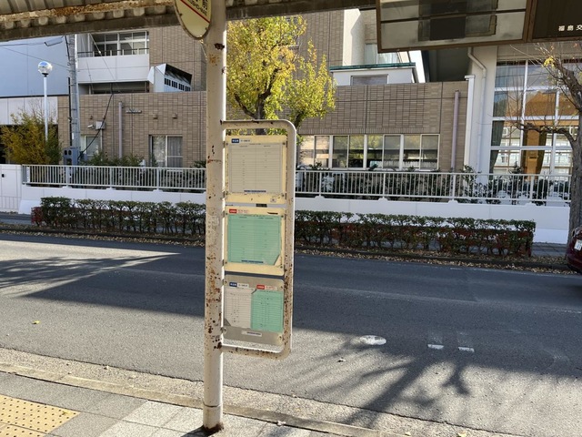 投稿写真7