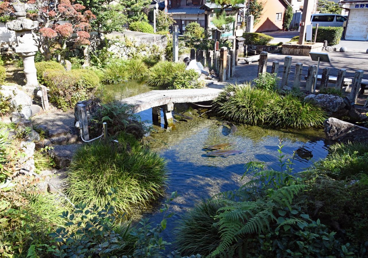 池の様子