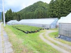 湯沢いちご村