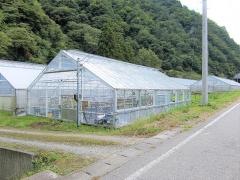 湯沢いちご村