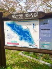 鶴ヶ池