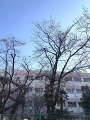 浮野小学校