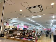 ザ・ダイソー　近商ストア桃山店