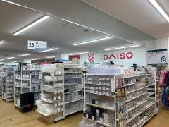 ザ・ダイソー　近商ストア桃山店