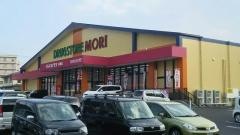 ドラッグストアモリ　矢峰店