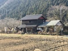 朽木山水