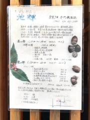 池輝