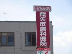 葭矢皮膚科医院