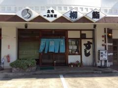 柳鮨