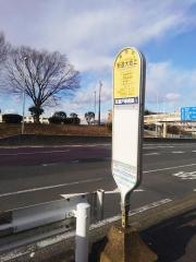 「新道大坂上」バス停留所