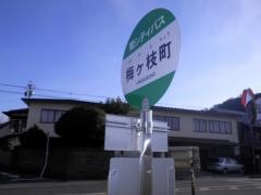 「梅ヶ枝町」バス停留所