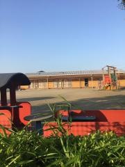 サンフラワーこどもの森保育園