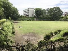 富士見緑地