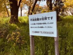中島公園