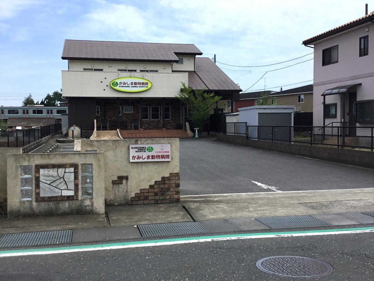 かみしま動物病院