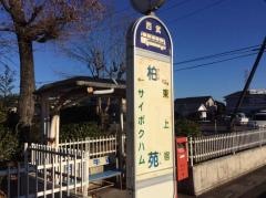 「柏苑(北側)」バス停留所