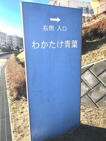 わかたけ青葉