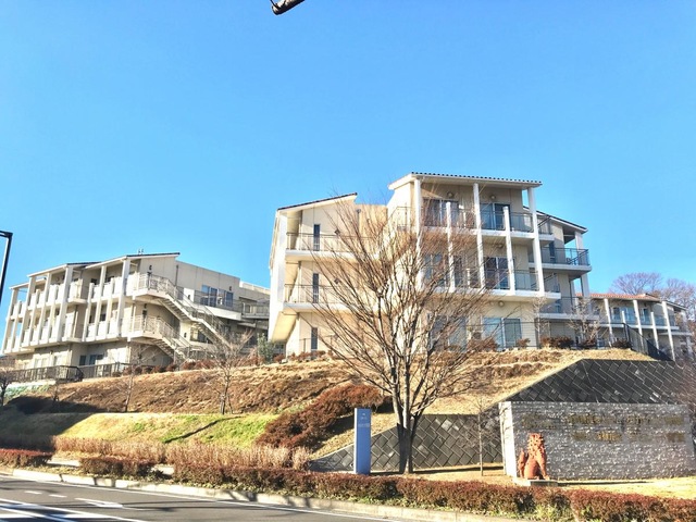 わかたけ青葉